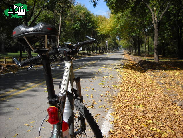 OTOÑO 2010
