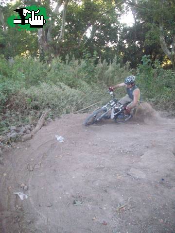 Curvas
