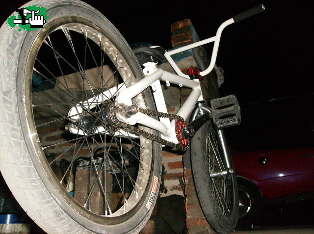 Bike Check 2010