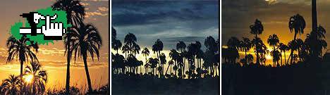 El Palmar - Termas de San Jose