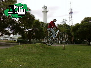 Tarde al pedo