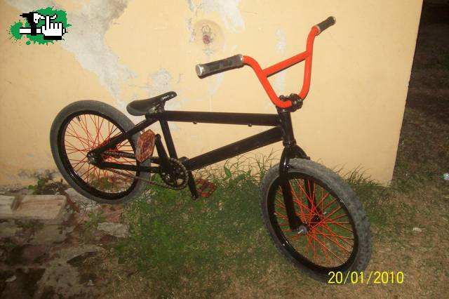 la pinte les gusta?