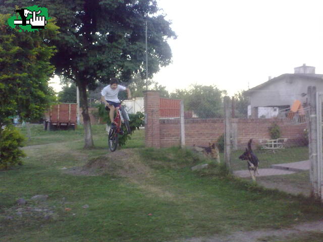 BOLUDEANDO !!!