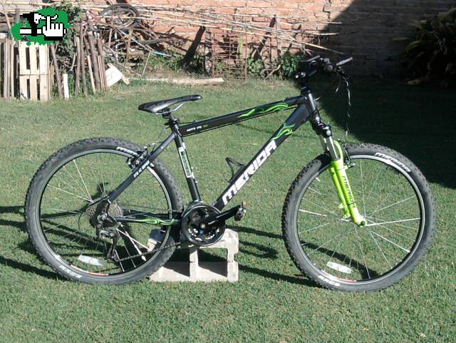 Mi merida