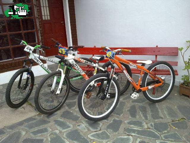 las scott