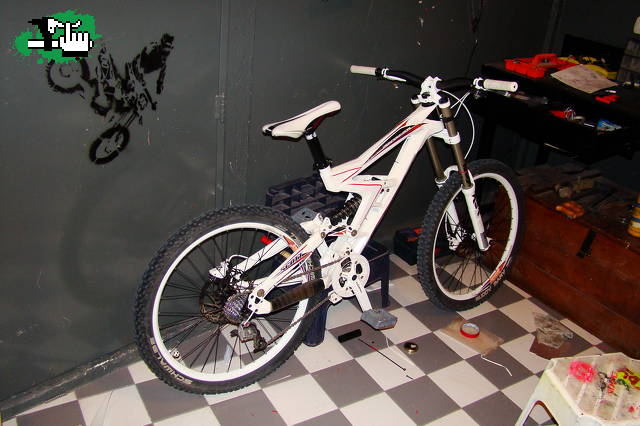 gamber 20 