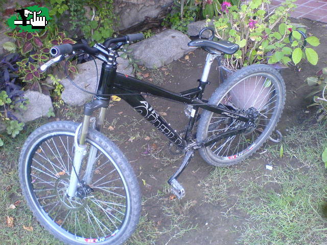 Bici para dirt