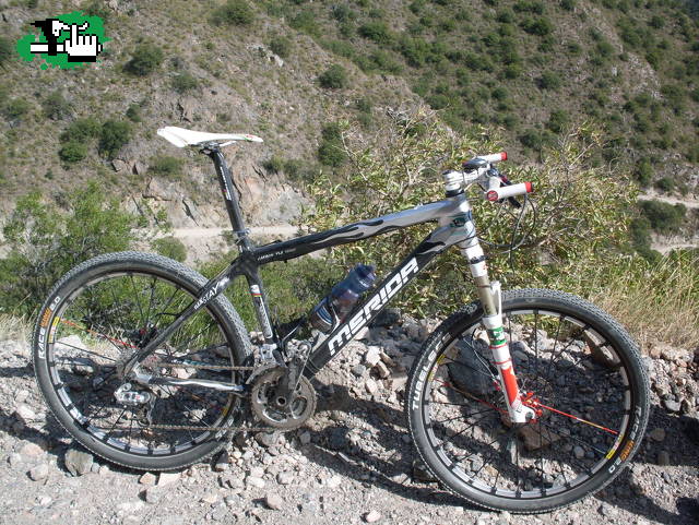 RIO PINTO 2010
