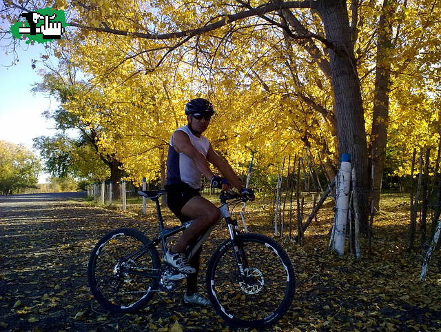 Otoño en la costa del Limay