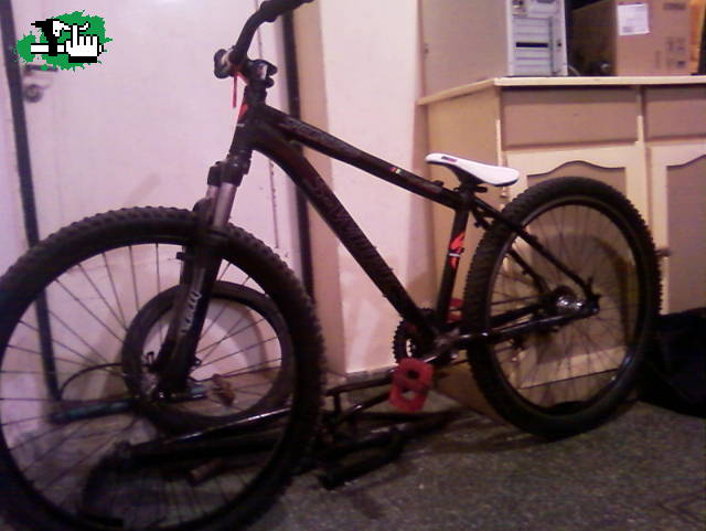 pedonitobmx
