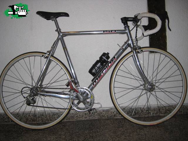 vierja_1981