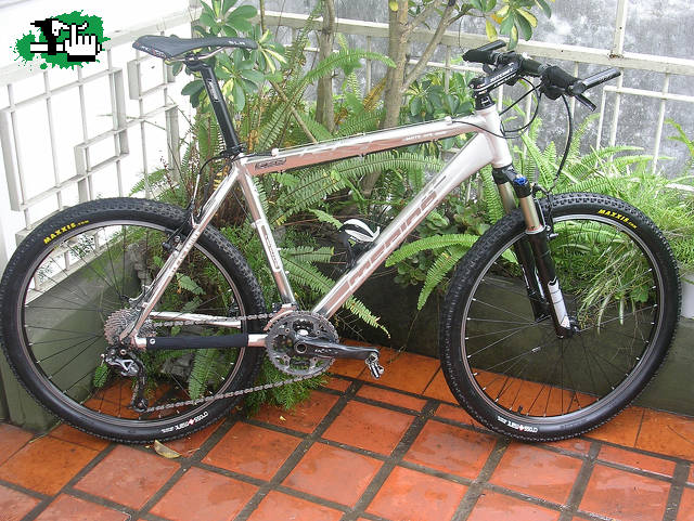 Estrenada en el Pinto 2010