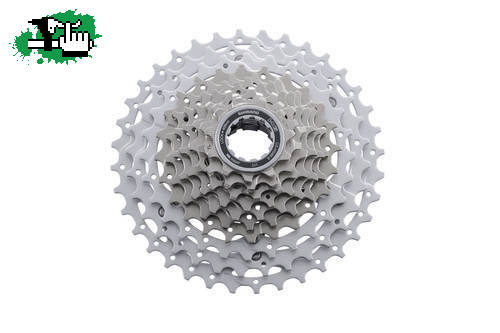 slx nuevo 2010.