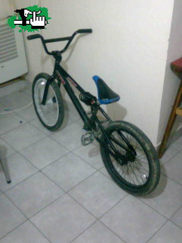 elmaster007