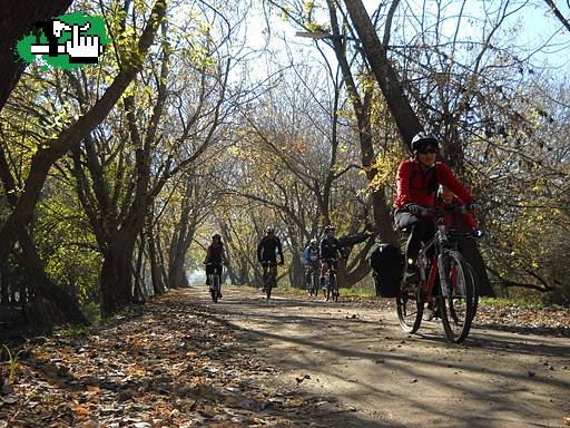 TIGRE - PARANA DE LAS PALMAS - TIGRE