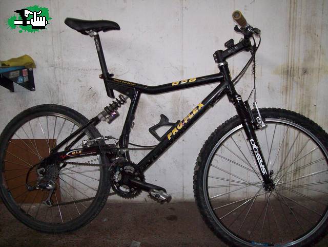 mi bichi