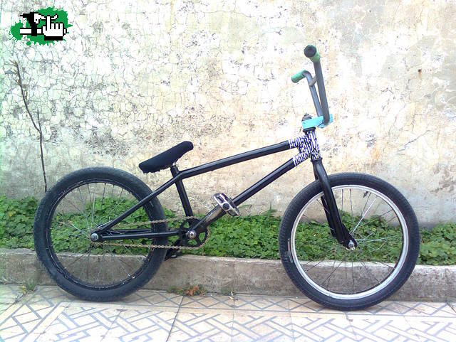 lachuqii