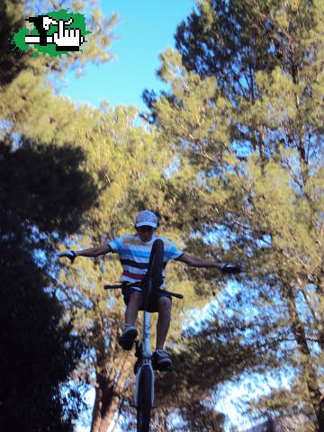 Condor