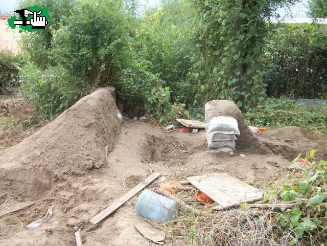 dirt en progreso 