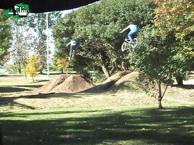 dirts