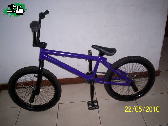 pintada