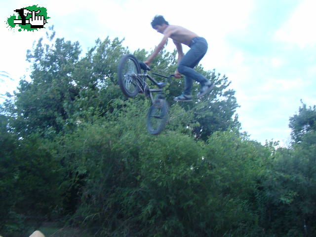 WHIP 