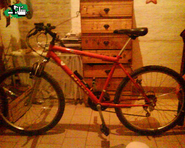 armando la bike