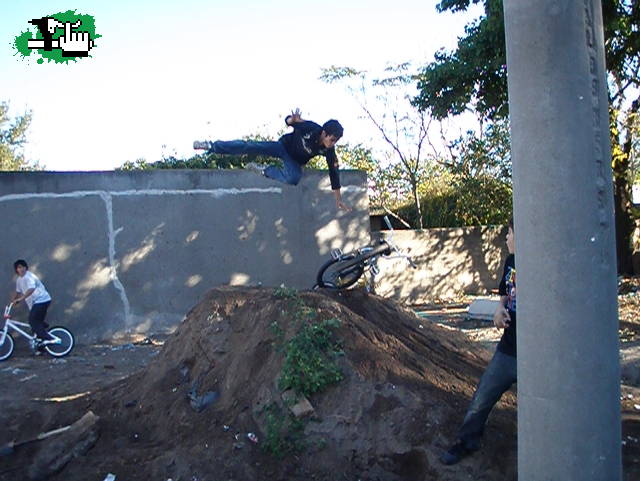 la segunda del palo