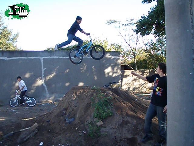 whip