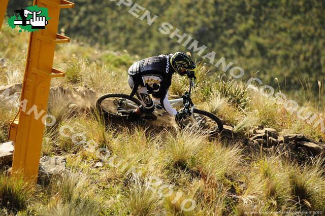OPEN SHIMANO COSQUIN