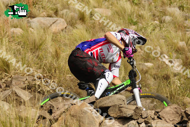 OPEN SHIMANO COSQUIN