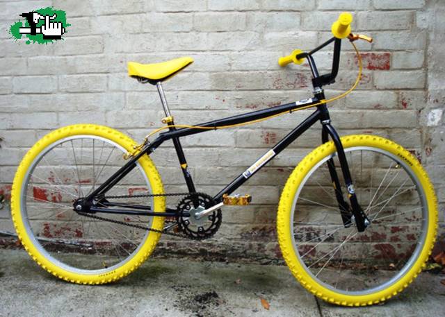 1981 Apollo Hallmark 26