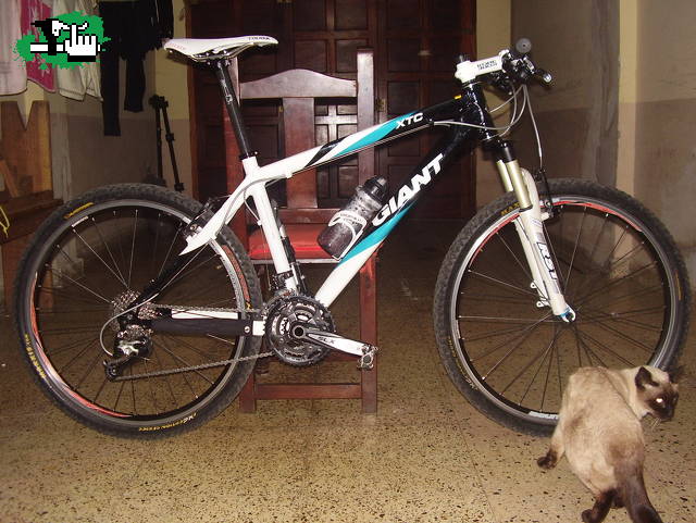 Improvisada para el 30