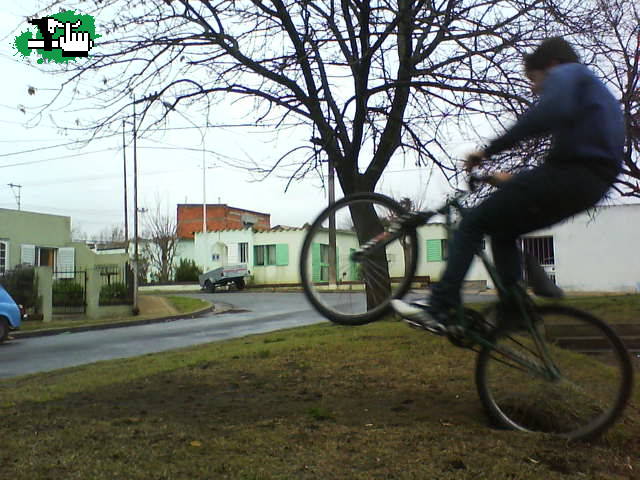 algoo