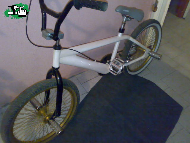 olmo premium
