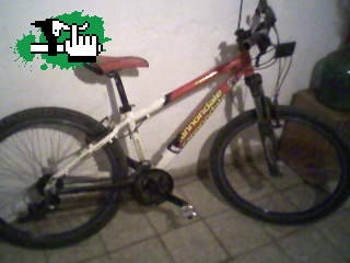 mi bici