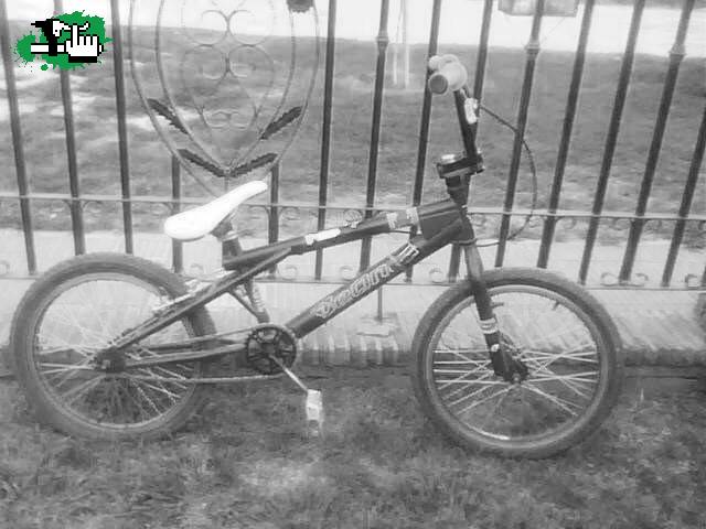 bike check
