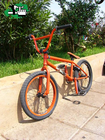 Premium solo 2009