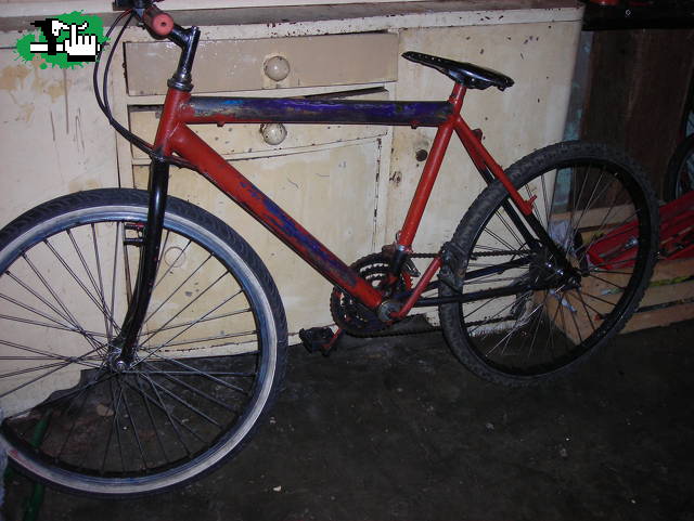 restauracion 