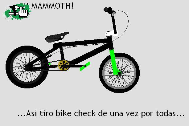 BIKE CHECK! (PAINT)