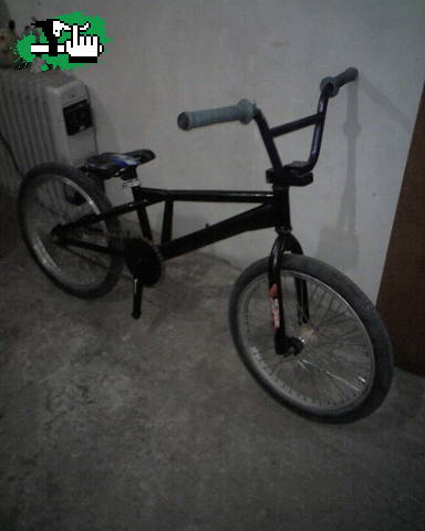 La Blacky.