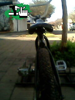 Bike check