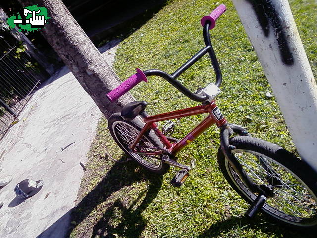 bike  check haro f3