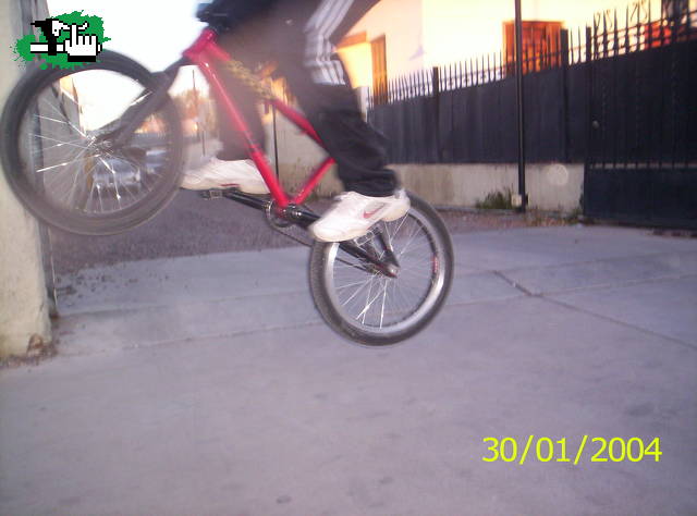 bunny hop!