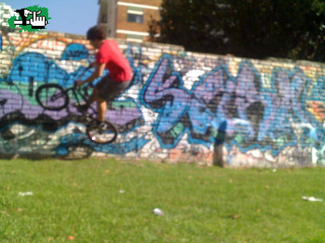 tirando wallride...