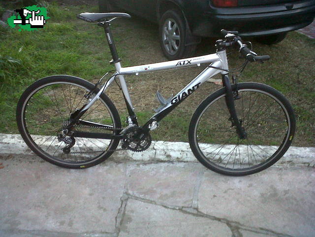 Mi giant