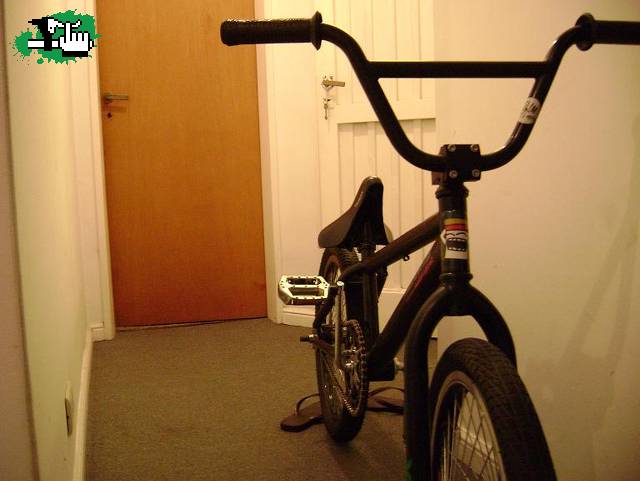 zalobmx123
