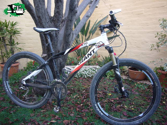 Mi nena