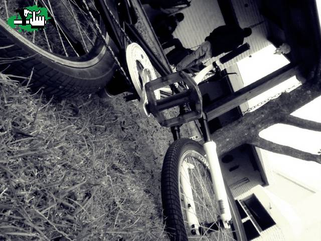 Mi bike