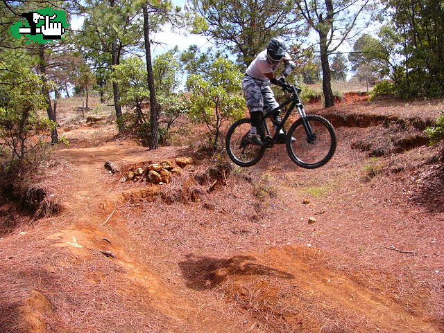 Marin Freeride